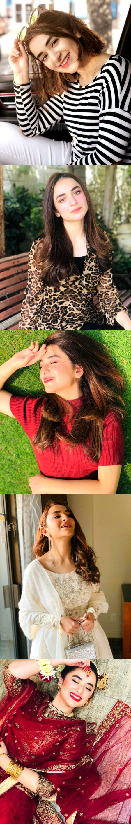 Pakistani Celebs image