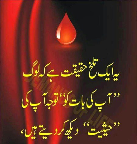 Absolutely 🌺🌺🌺