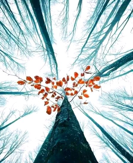 Beautiful Nature image