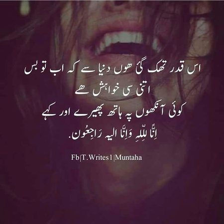 Only one sentence🙂