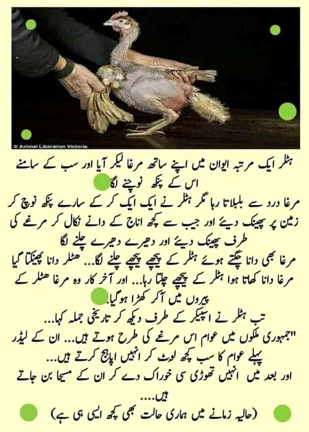 Interesting Posts image