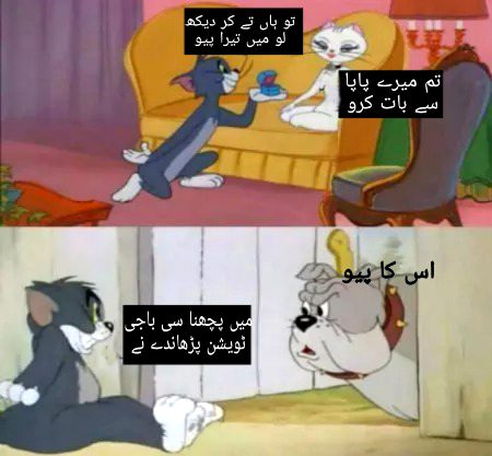 Memes & Satire image