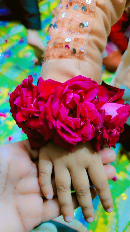 Meri choti c piyari c bhtiji ,