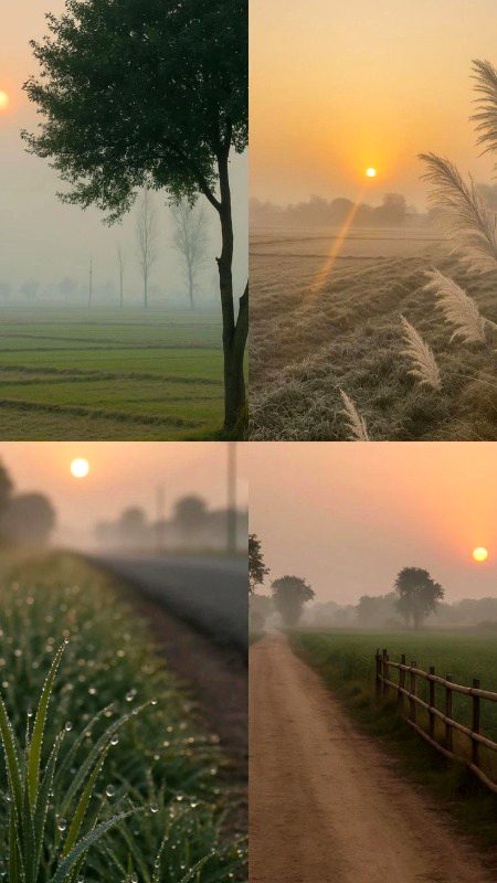 Beautiful Nature image