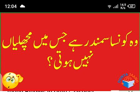 Riddles & Puzzles image