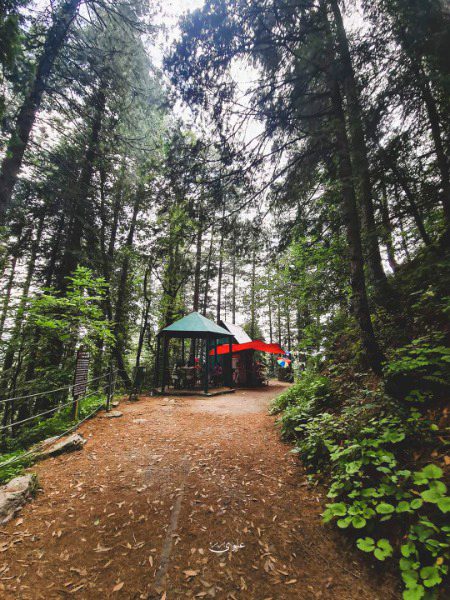 Beautiful Nature image