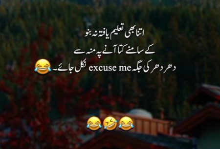 Memes & Satire image