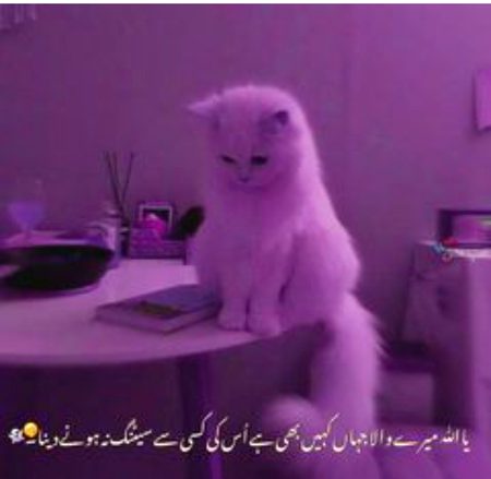 Jokes image