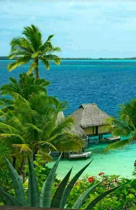 Beautiful Nature image