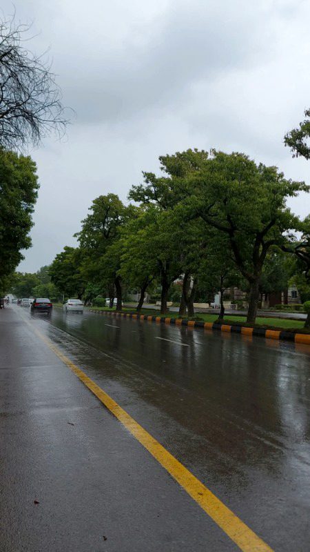 Beautiful Nature image