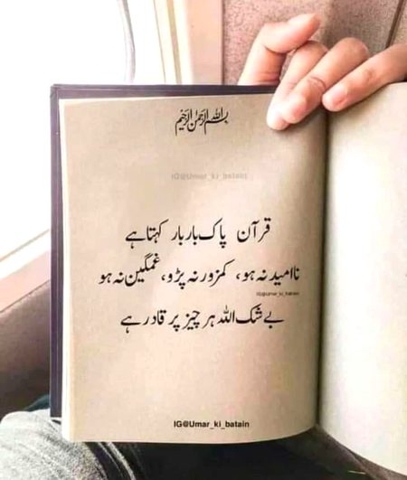 beshak