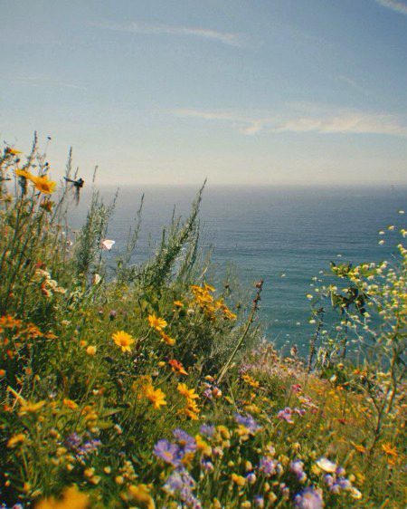 Beautiful Nature image