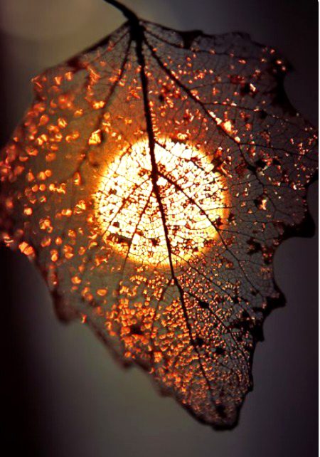 Beautiful Nature image