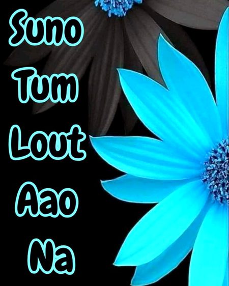 ایک نا ایک دن محسوس ہوگا تمہیں 👰👉 میرا ہونا کیا تھا میرا نہ ہونا کیا ہے💯
InshaAllah 🤲🤲