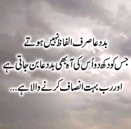 🏵🌹right👍🏼🏵🌹