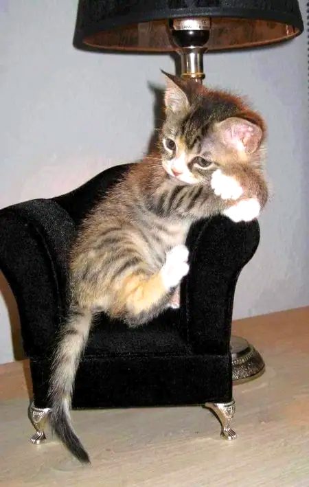 Beautiful Nature image