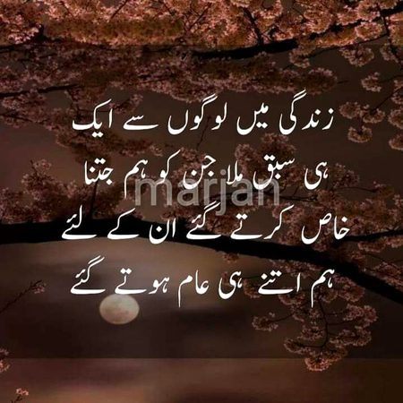 yehi haqeeqat h jii sachiiii