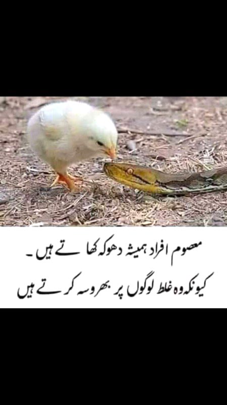 مطلب تھا تو جان جہان تھے ہم
مطلب ختم تو وبال جان ہوگئے ہم
￼