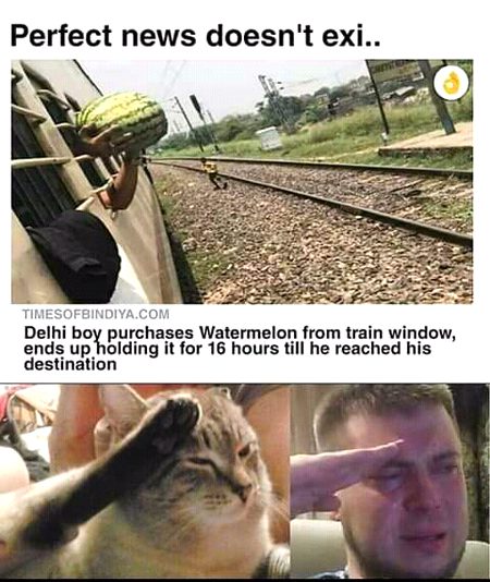Memes & Satire image