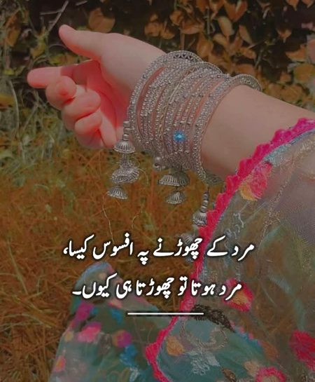 💕🦋💕...