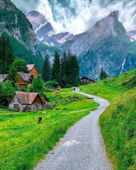 Beautiful Nature image