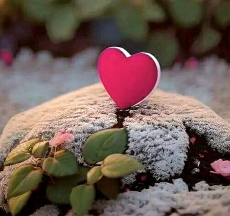ساقیا ایک نظر جام سے پہلے پہلے 
ہم کو جانا ہے کہیں شام سے پہلے پہلے 
خوش ہو اے دل کہ محبت تو نبھا دی تو نے 
لوگ اجڑ جاتے ہیں انجام سے پہلے پہلے 
اب ترے ذکر پہ ہم بات بدل دیتے ہیں 
کتنی رغبت تھی ترے نام سے پہلے پہلے 
سامنے عمر پڑی ہے شب تنہائی کی 
وہ مجھے چھوڑ گیا شام سے پہلے پہلے 
کتنا اچھا تھا کہ ہم بھی جیا کرتے تھے فرازؔ 
غیر معروف سے گمنام سے پہلے پہلے