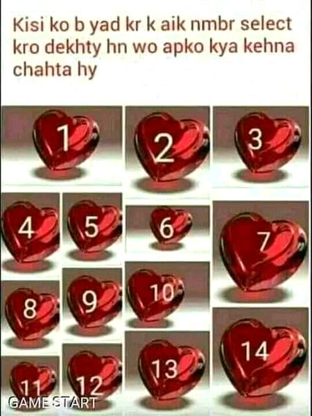 Number select KRo jaldi 1 hours bad apko answer meliga