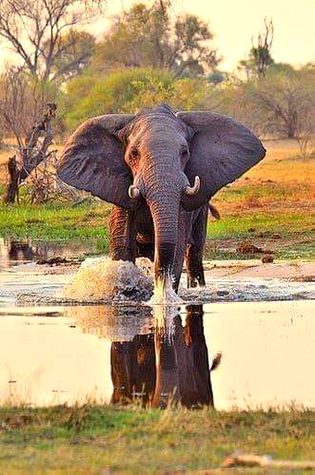 Beautiful Nature image