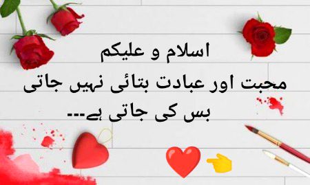 اس میں جزبات ہیں  اور زمعداری