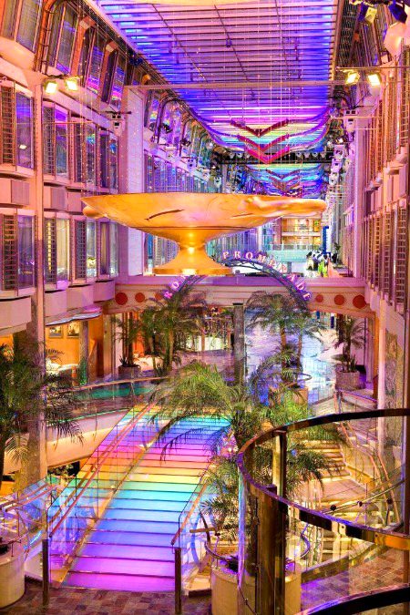 On the board Royal cabbiean🤩