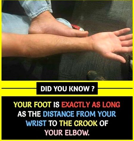 Interesting Posts image