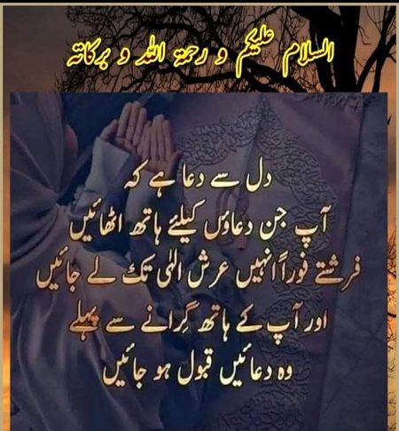 Asllam o Alikum