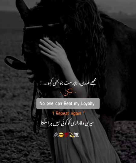 Attitude Poetry image