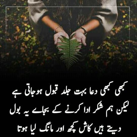 Mostly log bolty han asa....shukr ada keya kryain Allah pak ki zaat ka ....byshk wo bahtr sy bahtreen ata krny wla ha