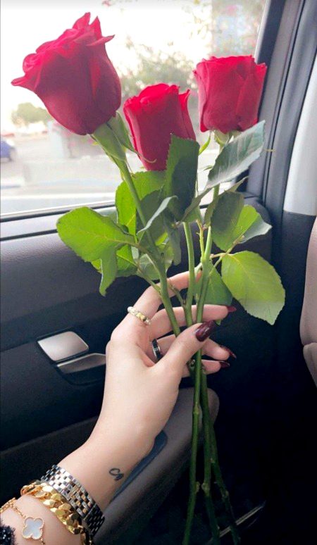 Beautiful Nature image