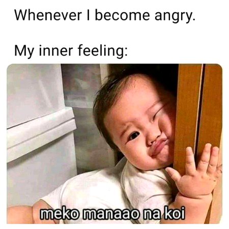 Memes & Satire image