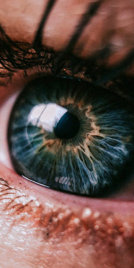 💗😍🥰🤗😇😌😊☺️👁️.