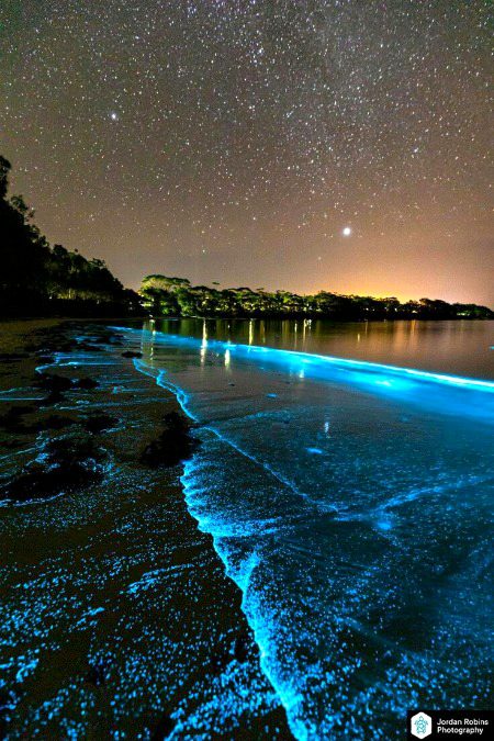 Beautiful Nature image