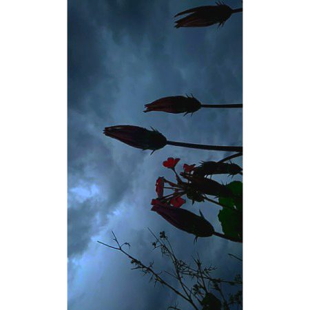 Mosam ❤️🌚❤️