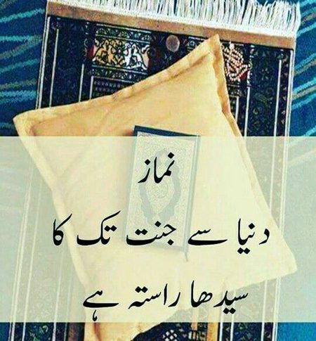 Beshak❤️