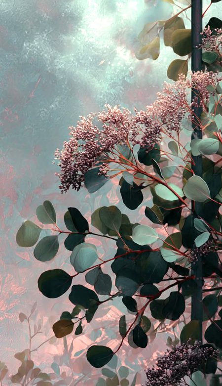 Beautiful Nature image