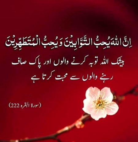 Islamic Quotes image
