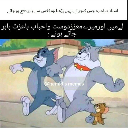 Memes & Satire image