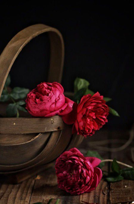 Beautiful Nature image