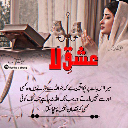 Romantic Novels image