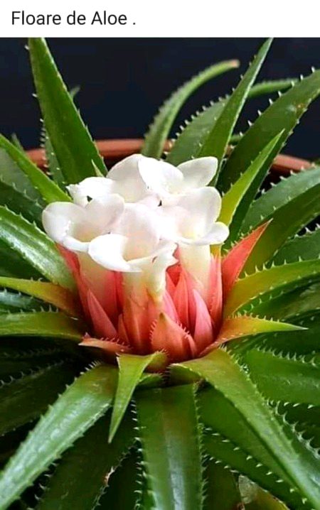 Beautiful Nature image