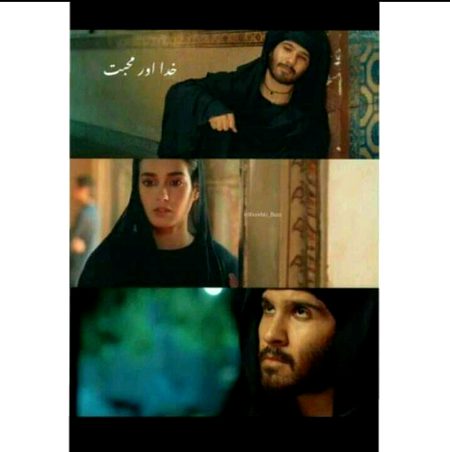 Muhabat rog hay roag