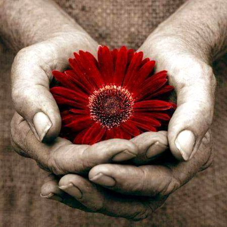 Beautiful Nature image