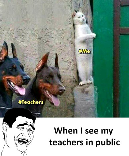 Memes & Satire image
