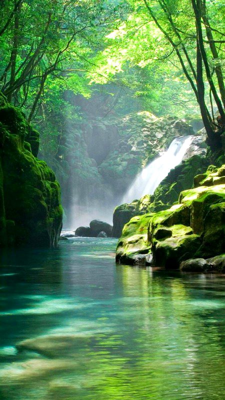 Beautiful Nature image